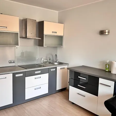 Rybak30 شقة غليفيتسه